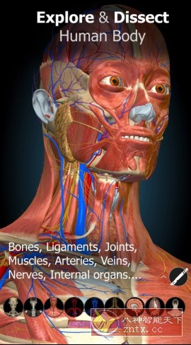 Anatomy Learning 3D解剖学v3.1.493高级版-小妖精资源网