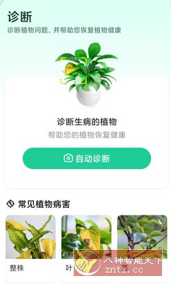 Plant Parent 植物养护v1.101高级版