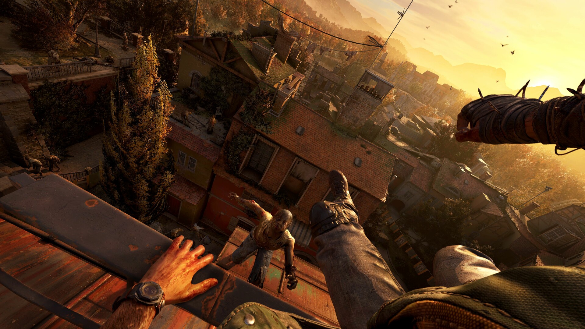 消逝的光芒：困兽/Dying Light: The Beast/支持网络联机-小妖精资源网