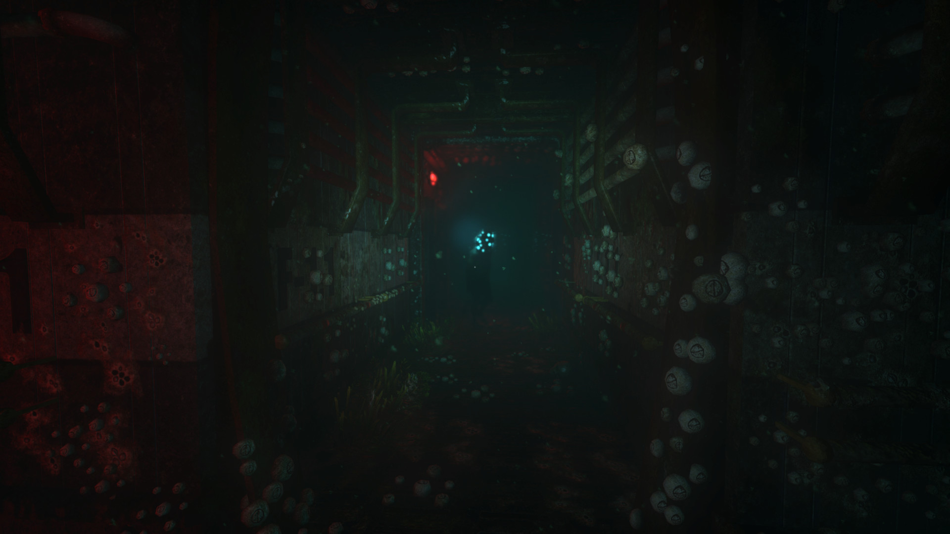 活体脑细胞/SOMA