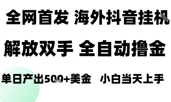 海外抖音无人直播，单日产出1.5k+，长期稳定，新手可玩，无脑操作【揭秘】-小妖精资源网