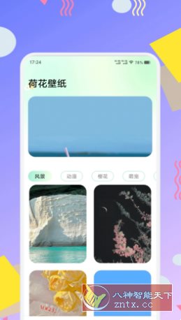 荷花壁纸 V1.2高级版