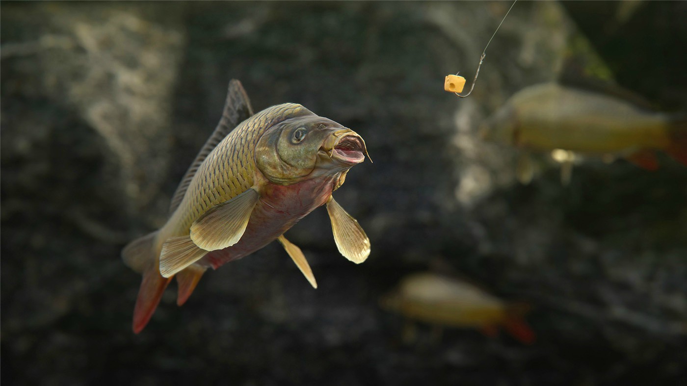 《人渣》v1.0.2.0.97773中文版-趣奇资源网-第12张图片 《人渣》v1.0.2.0.97773中文版-趣奇资源网-第12张图片