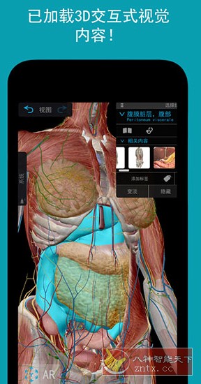 Human Anatomy Atlas 2026 人体解剖学图谱v2026.00.019高级版