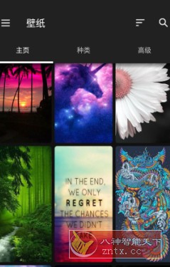 ZEDGE 铃声和壁纸v8.92.1高级版